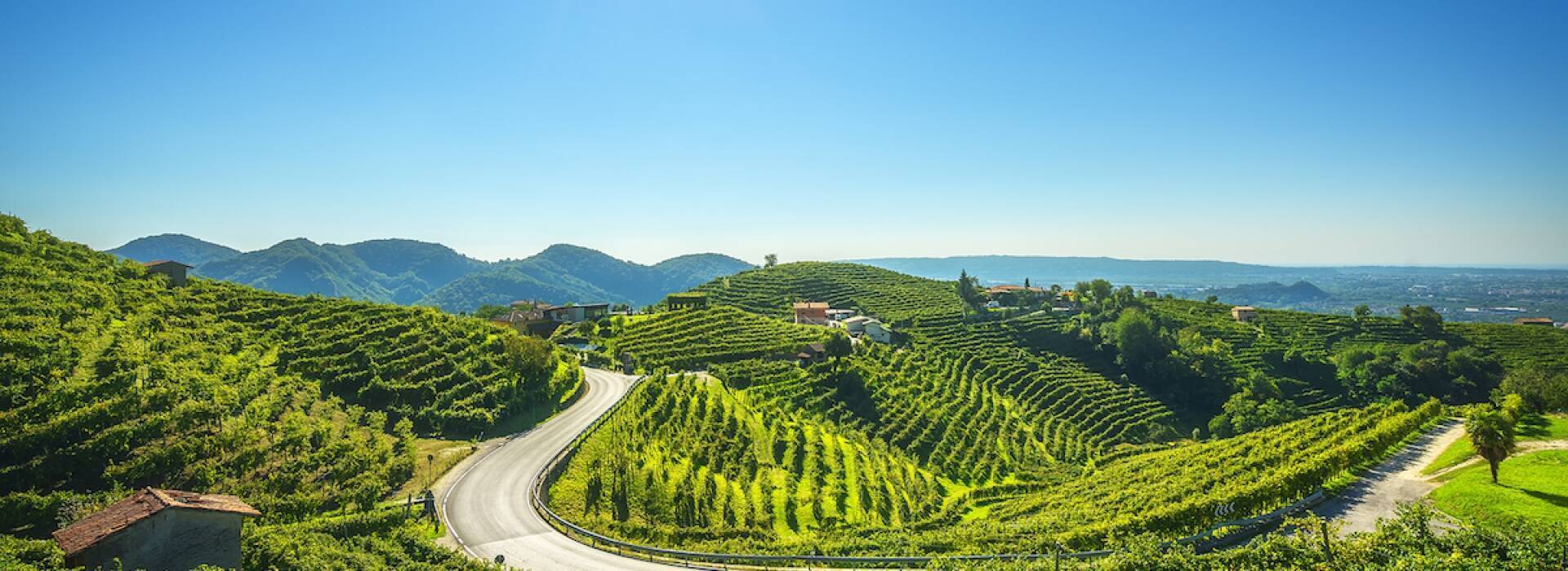 Prosecco Hills Experience