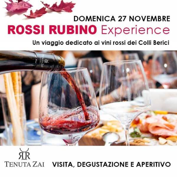 Domenica 27 novembre - Rossi Rubino Experience, i vini gemme dei Berici!