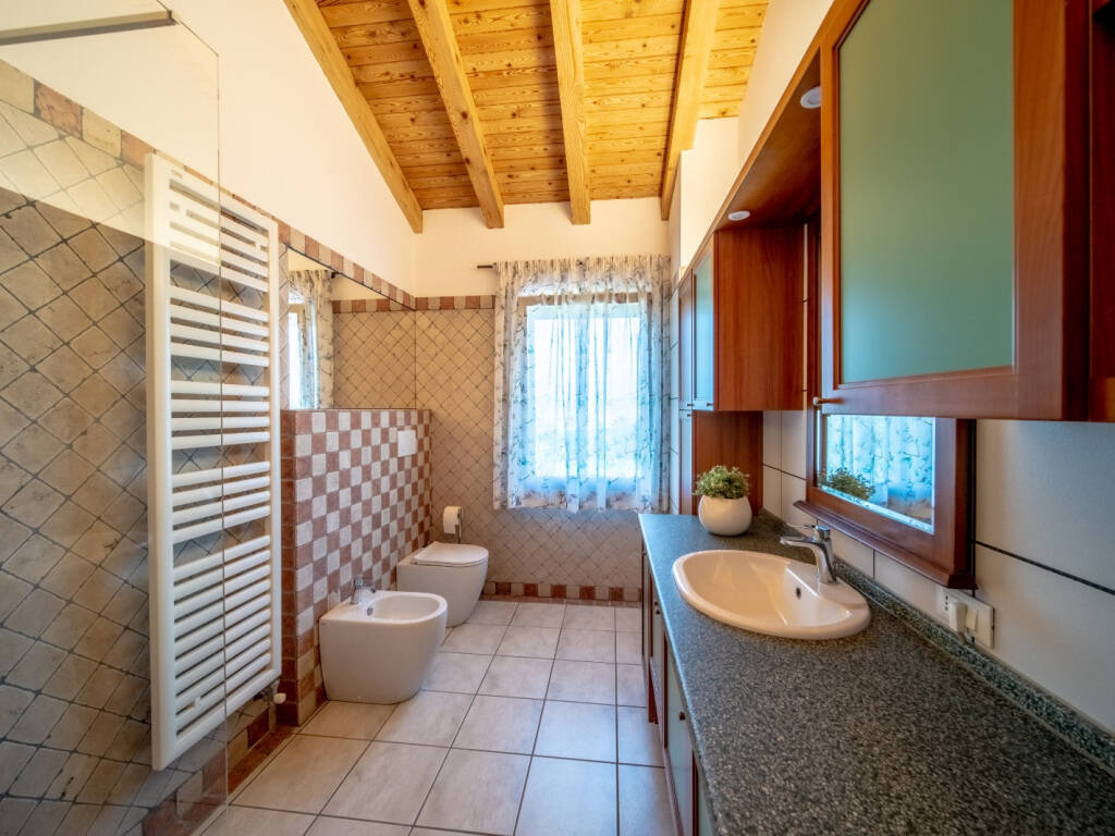 agriturismo gatto in vigna bagno 20210720162939d